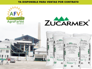 Lee más sobre el artículo Azúcar Estándar Nocional ZUCARMEX 